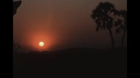 SUPER 8 - NAMIBIA - sunset - 1988 Stock Footage 244584163