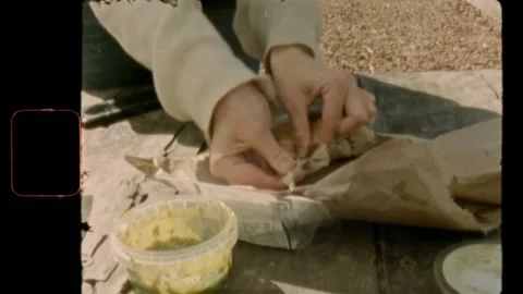Super 8 |Picnic at the farm Stock Footage 140415922