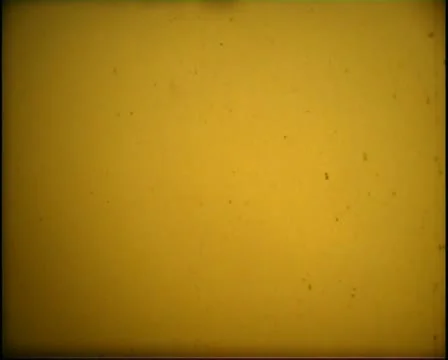 Super 8 pre-roll reel film Stock Footage