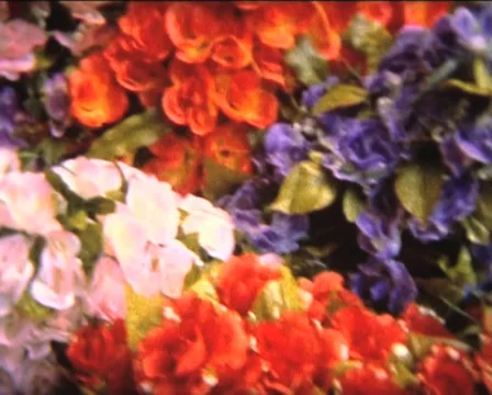 SUPER 8 psyche artificial flowers Stock Footage 33172561