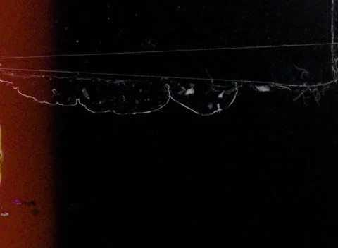 Super 8 scratches 스톡 동영상 221698981