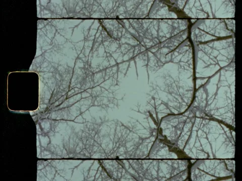 Super 8 Snowy Trees Stock Footage 221567602