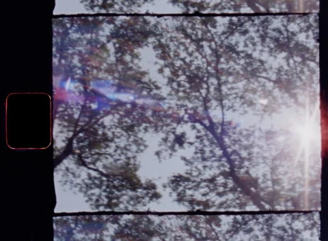 Super 8 Sun Flare Light Leak Trees and Sky Texture 3K Film Overscan Vídeo Stock 332000571
