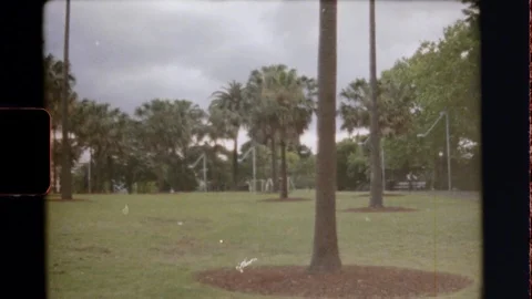 Super 8 | Trees in the park Stock Footage 122612891