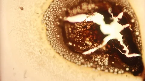 Super 8mm Film Look, Light Leaks, Dirt, Grain, Scratches, Vintage, Old Film Stock Footage