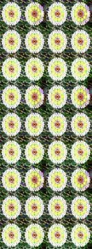 Super abstract cute and nice interesting picture Stockillustratie