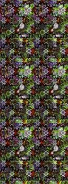 Super abstract cute and nice interesting picture Stock Illustration