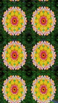 Super abstract cute and nice interesting picture Ilustração Stock
