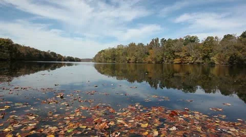 Super autumn river landscape! Stock Footage 22176304
