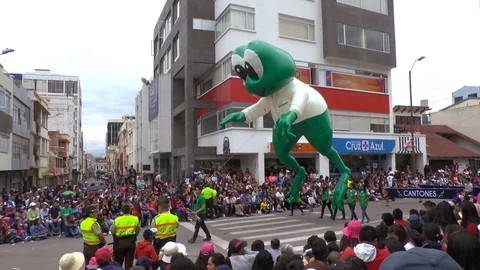 Super Big Frog Video stock 73098583