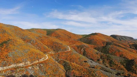 Super Bloom Clip 3 Stock Footage 106902568