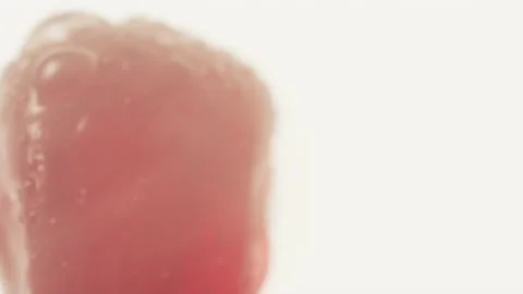 Super close up of bright fresh red Pomegranate fruit seed on white Stock-Footage 131720647