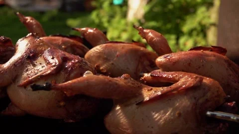 Super close-up of the delicious roasted quails on the long skewers Stock Footage 148874321