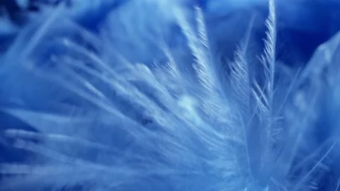 Super close-up, details. blue fluff in a neckpiece. copy space Stock Footage 141880250