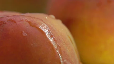 Super close-up of the drop of water flowing down the surface of a juicy peach Stock Footage 150095157