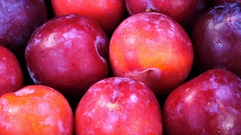 Super close up flat-lay view of ripe fresh plums rotating in 4K Vídeo Stock 90900087