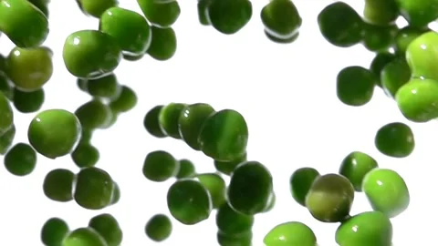 Super close-up of the green peas falling down on the white background Stock Footage 256689628