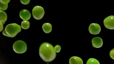 Super close-up of the green peas falling down on the black background Stock Footage 302215943
