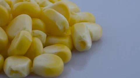 Super close macro of corn kernels rotating on the turntable. Isolated Stock Footage 92868306