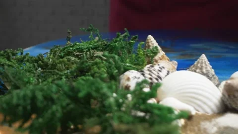 Super close up. the process of making panels of epoxy resin, shells and moss Stock Footage 134311292