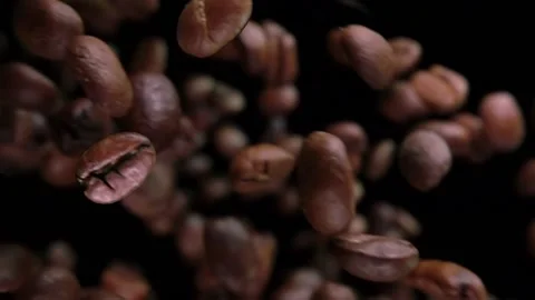 Super close-up of roasted Arabica coffee beans falling down on black background Stock Footage 226819453