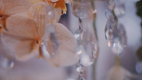 Super close up shot of peach orchids on crystal candelabra centerpieces Stock Footage 98761466