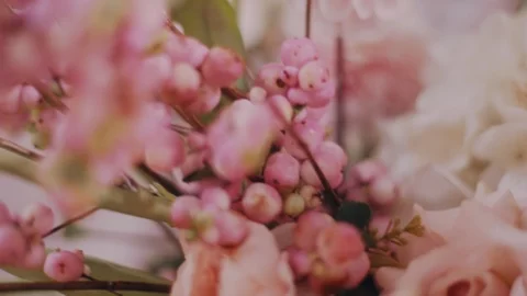 Super close up shot of pink colored snowberry in wedding decoration Stock Footage 98761738