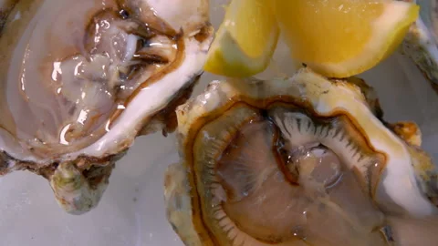 Super close-up of the white plate with fresh open delicious oysters Stock Footage 146263481