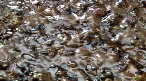 Super closeup shot: brown bubbling sauce on pan Stock Footage 68419158