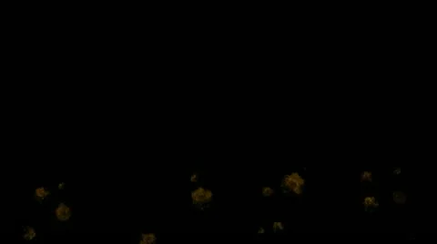 Super flames animation background 스톡 동영상 11502307