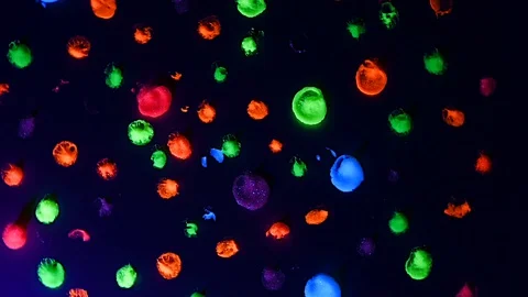 Super flash Colored Dots Rotating Animation Background Stock Footage 103871425