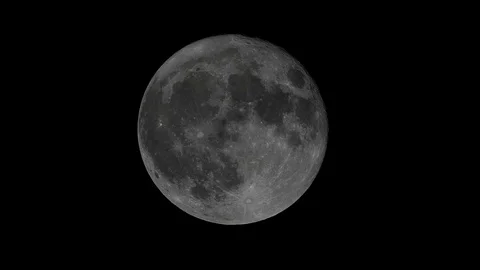 Super Full Moon December 3, 2017 Stock Footage 83025492