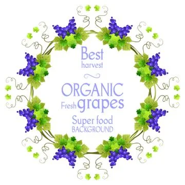 Super grape frame Stock Illustration