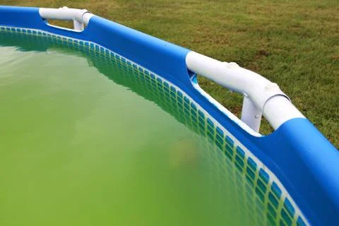 Super Green Water with Algae in Backyard Swimming Pool Stock Photos
