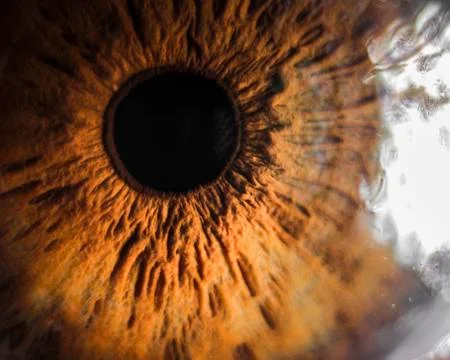 Super macro eye and iris Stock Photos