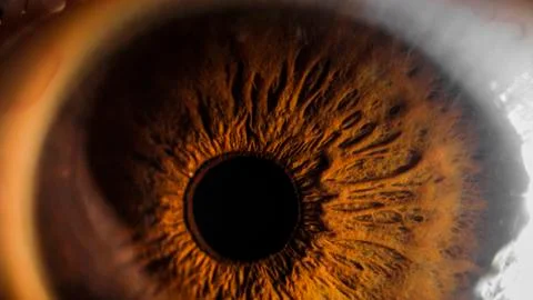 Super macro eye and iris Stock Photos