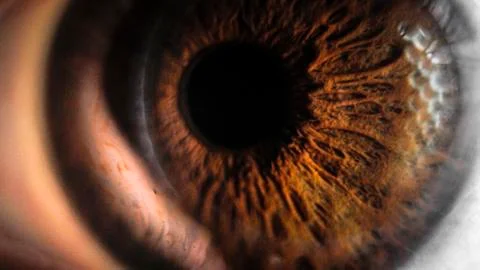 Super macro eye and iris Stock-Fotos