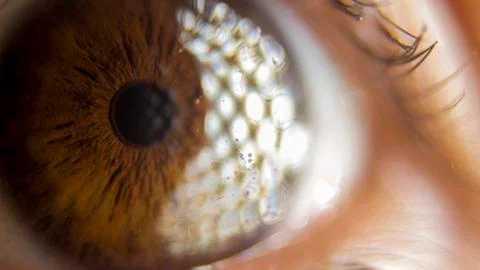 Super macro eye and iris Stock Photos