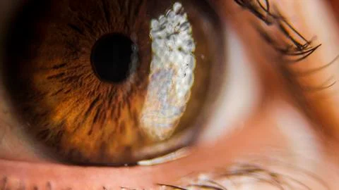Super macro eye and iris Stock Photos