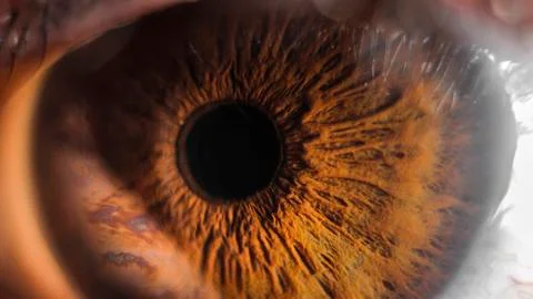 Super macro eye and iris Stock Photos