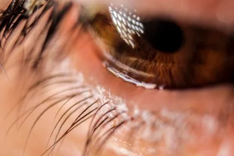Super macro eye and iris Stock Photos