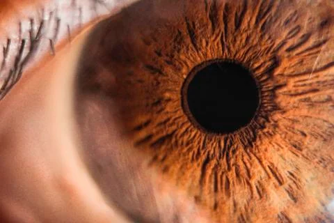 Super macro eye and iris Stock Photos