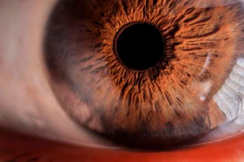 Super macro eye and iris 库存照片