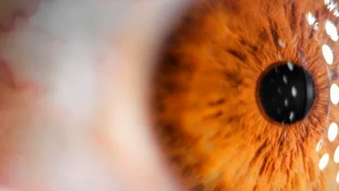 Super macro eye and iris Stock Photos