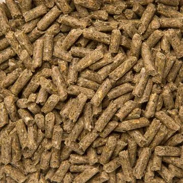 Super Macro Framing of Pellets or Biofuels for Stoves. Concept of Ecology and Stock Photos