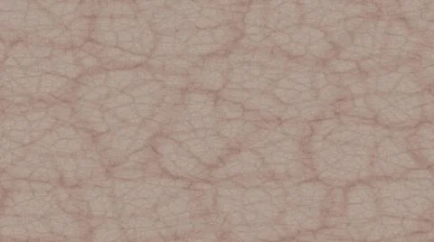 Super Macro image for human face skin. macro image for healthcare and medical Stock Photos