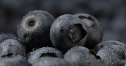 Super macro shot of a blueberry. Stock Footage 135631017