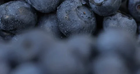 Super macro shot of a blueberry. Stock Footage 135637103