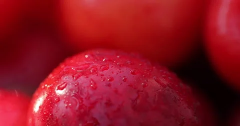 Super macro shot of cherry fruit. Stock Footage 135633580