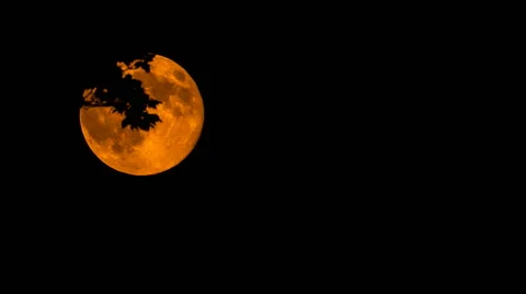 Super Moon 1080 Stock Footage 40744609